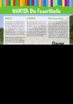 GESUCHT STECKBRIEF Nicht verwechseln