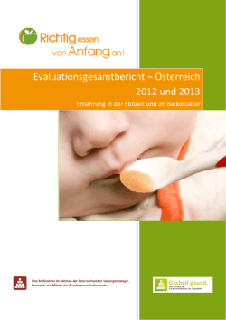 Gesamtevaluationsbericht 2012 – 2013 – Workshops