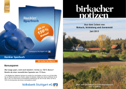 PDF-Datei - Birkacher Notizen