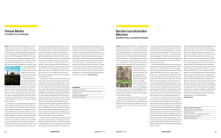 Rezension Bauwelt 15 - Geymüller Verlag für Architektur