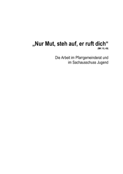 Arbeitshilfe Pfarreirat/Sachausschuss Jugend ( PDF , 5 MB )
