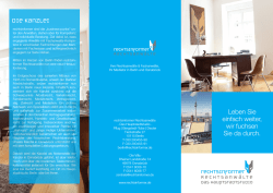 Flyer zum  PDF