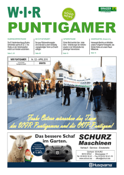 PDF anzeigen