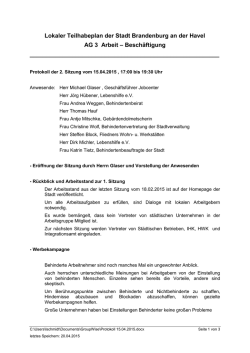 Lokaler Teilhabeplan der Stadt Brandenburg an der Havel AG 3
