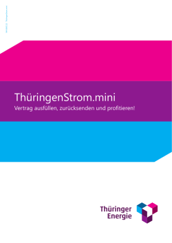 Vertrag ThüringenStrom.mini