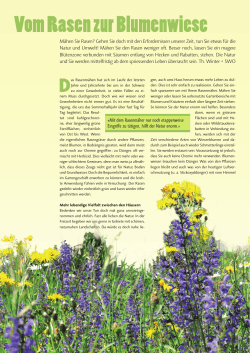Vom Rasen zur Blumenwiese - SWO | Stiftung Wirtschaft und Ökologie