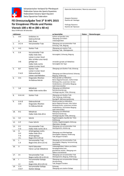 Dressurprogramm Test 3 Stern B HP1 Richterblatt Homepage SVPS