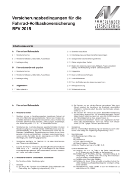 Versicherungsbedingungen - Wirtschaftsdienst GmbH des BDP