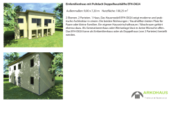 Doppelhaus mit Pultdach PDF