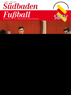 Ein Jahr Masterplan &times; DFB-Futsalturnier 2015