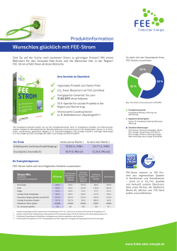 Produktblatt FEE-Strom - Fulda