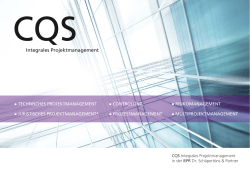 CQS - Integrales Projektmanagement