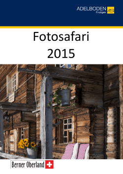 Fotosafari 2015