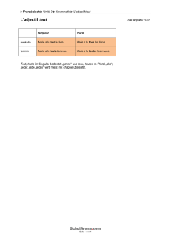 L`adjectif tout - SchulArena.com