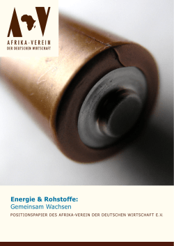 Energie & Rohstoffe: Gemeinsam Wachsen - Afrika