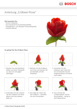 Anleitung „Erdbeer-Rose“