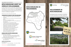 in b&uuml;schergrund - Stadt Freudenberg