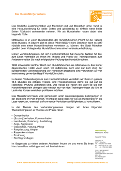 Kurs für den erwachsenen Hund