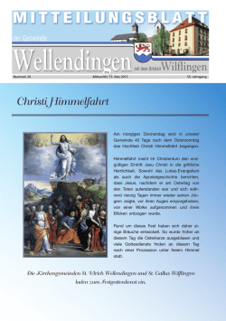 Wellendingen KW 20 ID 94026