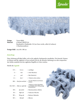 PDF &bdquo;Hamburg Calling&ldquo;