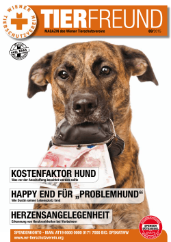 koSTENfAkTor HuND HAppy END für „proBLEMHuND“