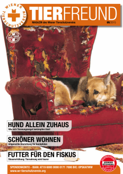 HuNd AllEIN ZuHAuS SCHöNEr WoHNEN FuTTEr Für dEN FISkuS