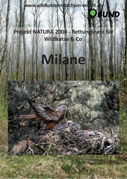 Milan - Naturpark-Saale-Unstrut