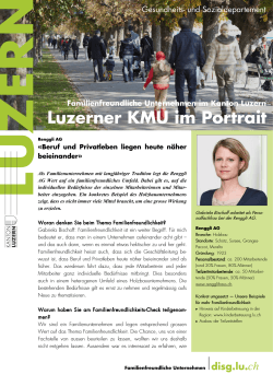 Luzerner KMU im Portrait - DISG