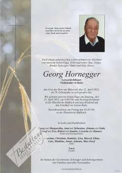 Georg Hornegger - Bestattung | Josef Bachler