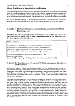 Einf&uuml;hrung zur Handhabung von FlexMax - rudolf