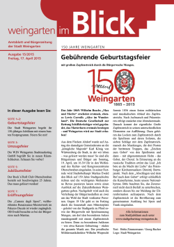 Ausgabe 15/2015 - Weingarten im Blick