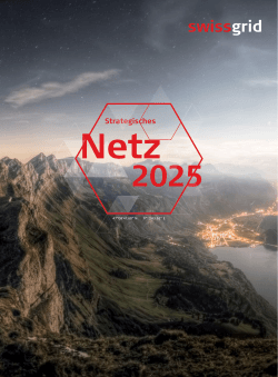 Strategisches Netz 2025
