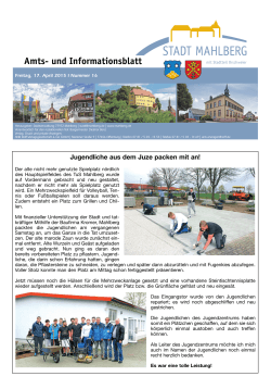 Amts- und Informationsblatt
