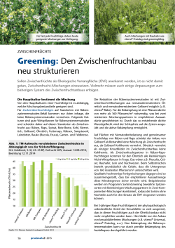 Greening: Den Zwischenfruchtanbau neu strukturieren