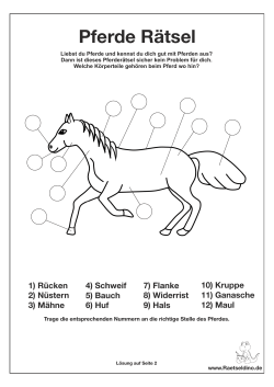 Pferde Rätsel - Raetseldino.de