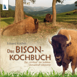 Bison-Kochbuch - Haus der Creationen