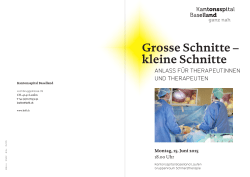 Grosse Schnitte &ndash; kleine Schnitte