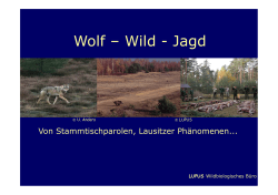 Wolf - Wild - Jagd, LUPUS Wildbiologisches Büro
