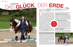 mein-pferd.de Ausgabe 12/2014 Reitabzeichen