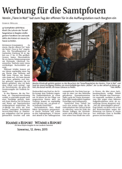 Hamme Report Samtpfoten