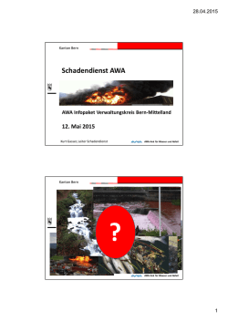 Schadendienst AWA