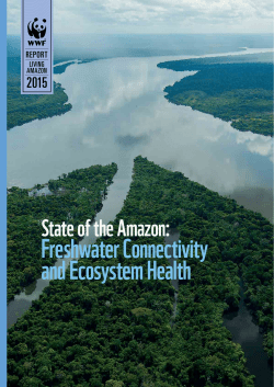 State of the Amazon: Freshwater Connectivity and Ecosystem Health