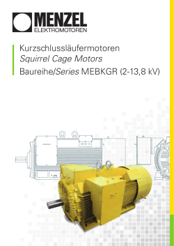 Broschüre, deutsch, english - Menzel Elektromotoren GmbH