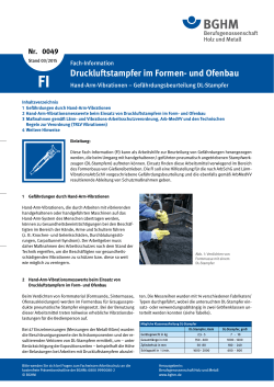 FI 0049 Druckluftstampfer im Formen