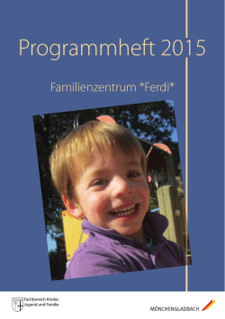 Programm FERDI 2015.indd