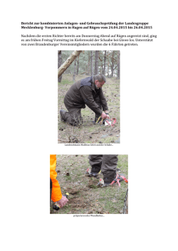 Im Kiefenwald der Schaabe