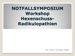 Hexenschuss (2377 kB, PDF)