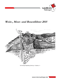 Wein-, Most und Besenführer - 2007-1. Druck