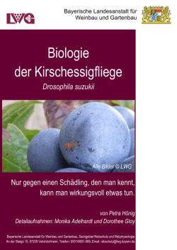 Broschüre zur Biologie der Kirschessigfliege 365 KB - LWG