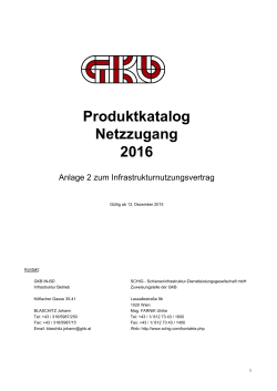 Produktkatalog Netzzugang 2016